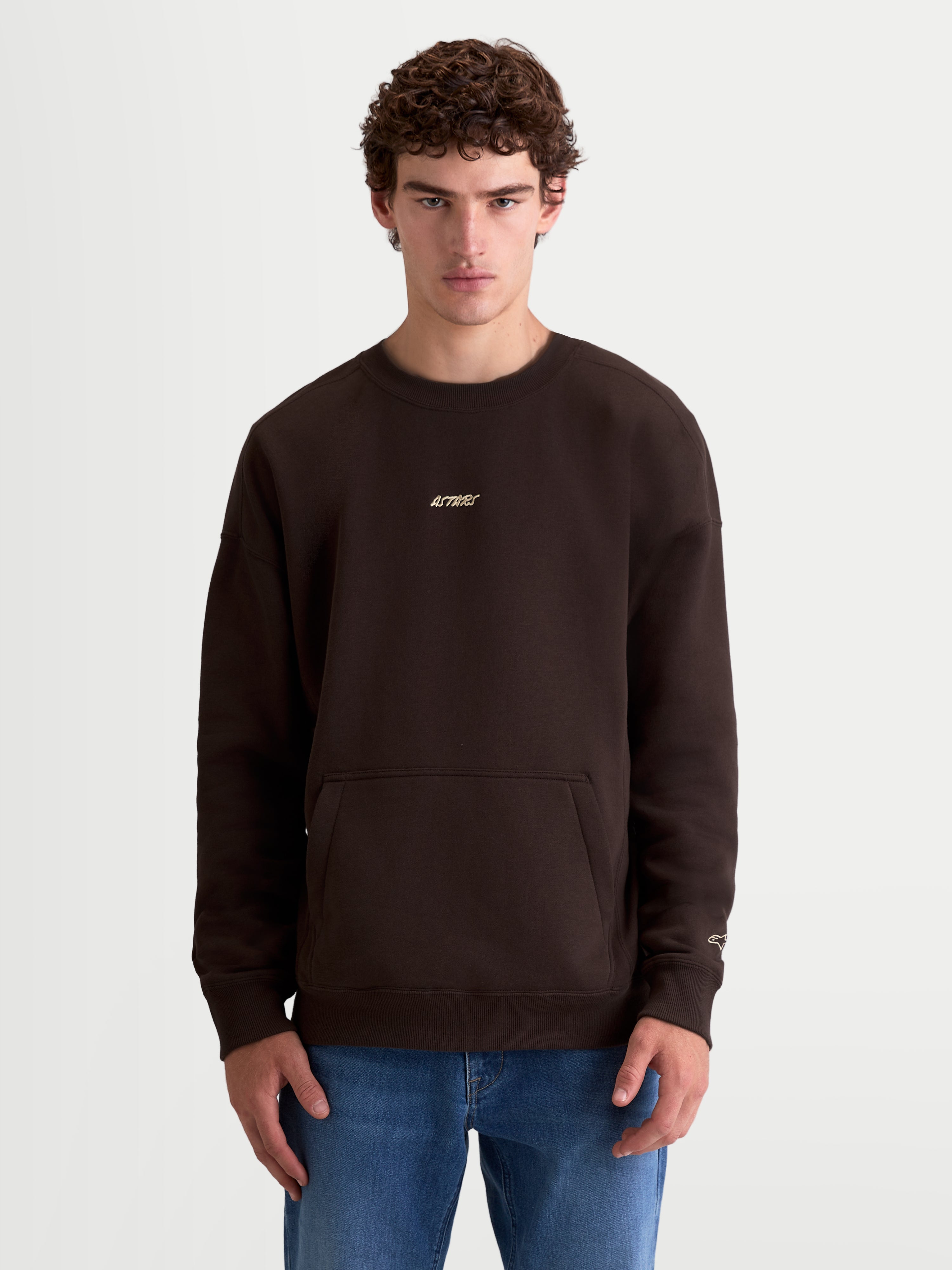 Guise Oversized Crew - Brown Pullover | Alpinestars®