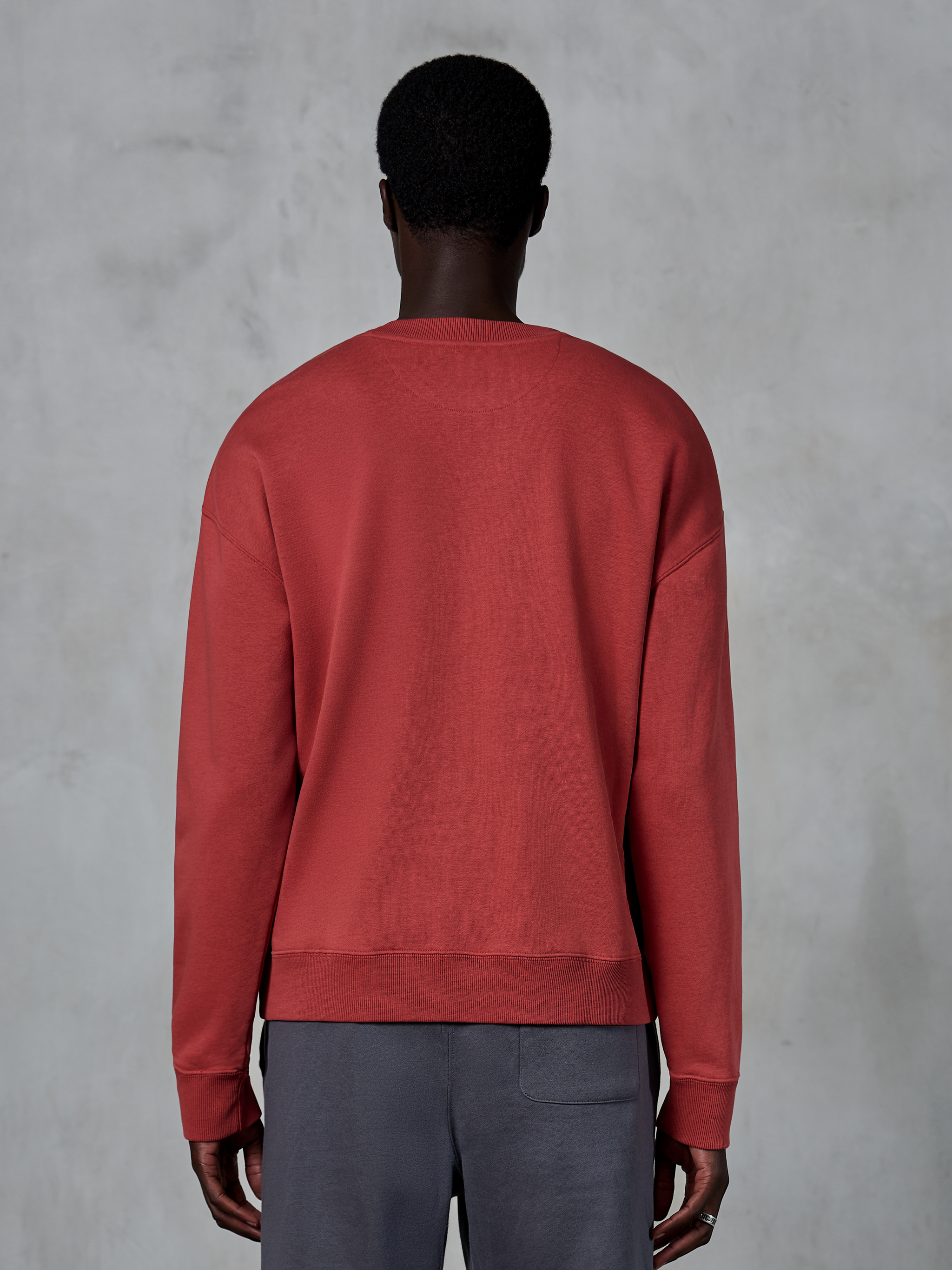 Alpinestars Essentials Ageless Crew, Brick Red crewneck sweatshirt, back view of model wearing relaxed fit pullover, ribbed collar and cuffs, casual motorsport-inspired streetwear