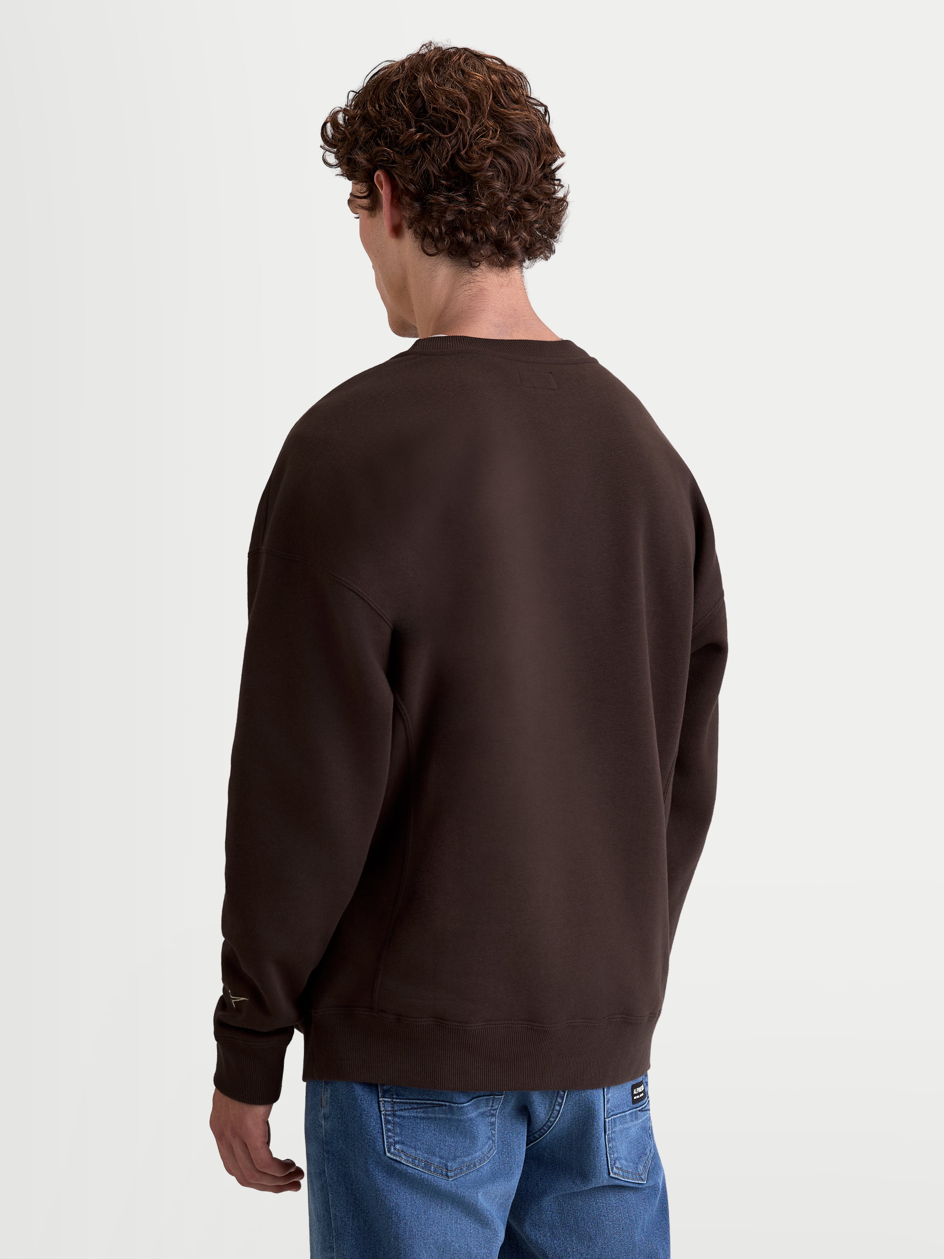 Guise Oversized Crew - Brown Pullover | Alpinestars®