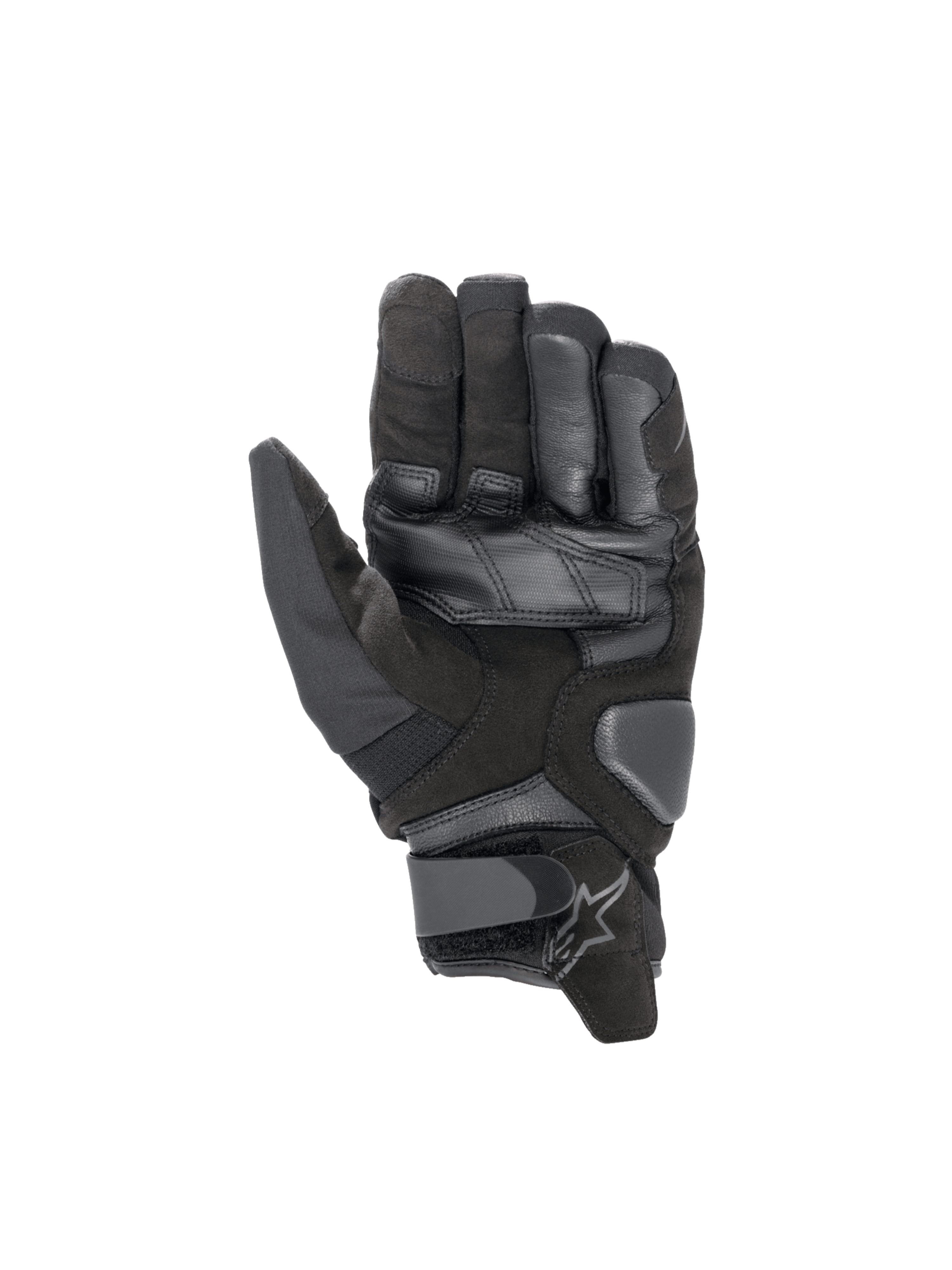L / Black Black