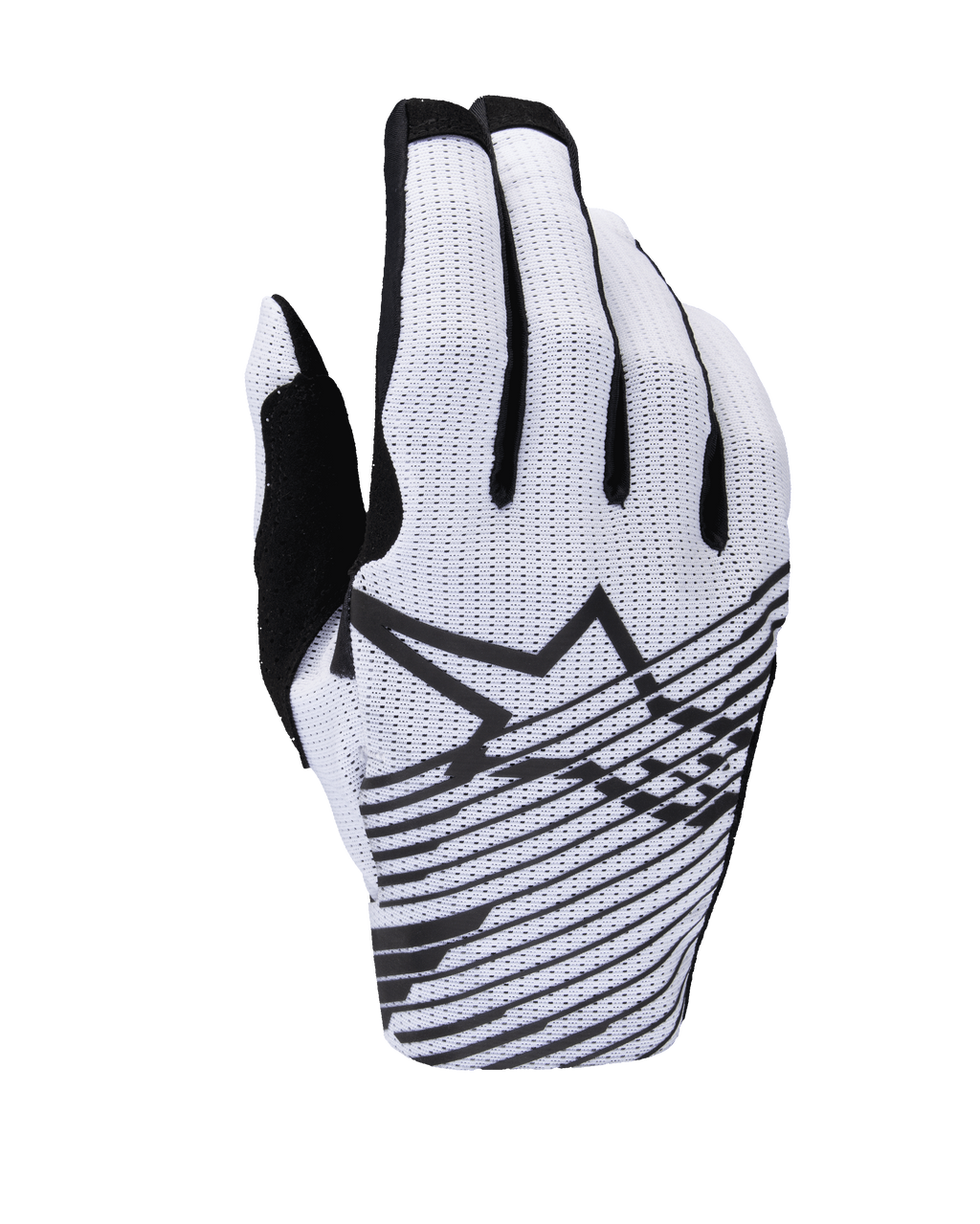 XL / White