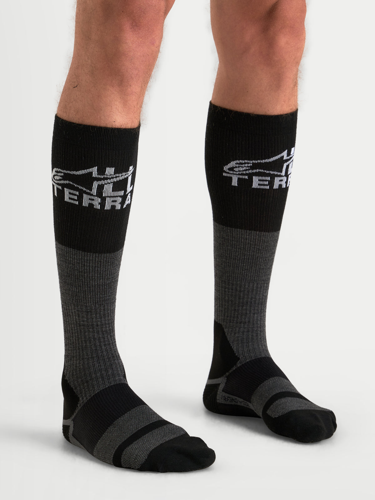 Alpinestars AT-8 Merino Socks, over-the-calf adventure motorcycle socks, tar gray and black, featuring thermal merino wool blend construction and All Terra branding worn by a model