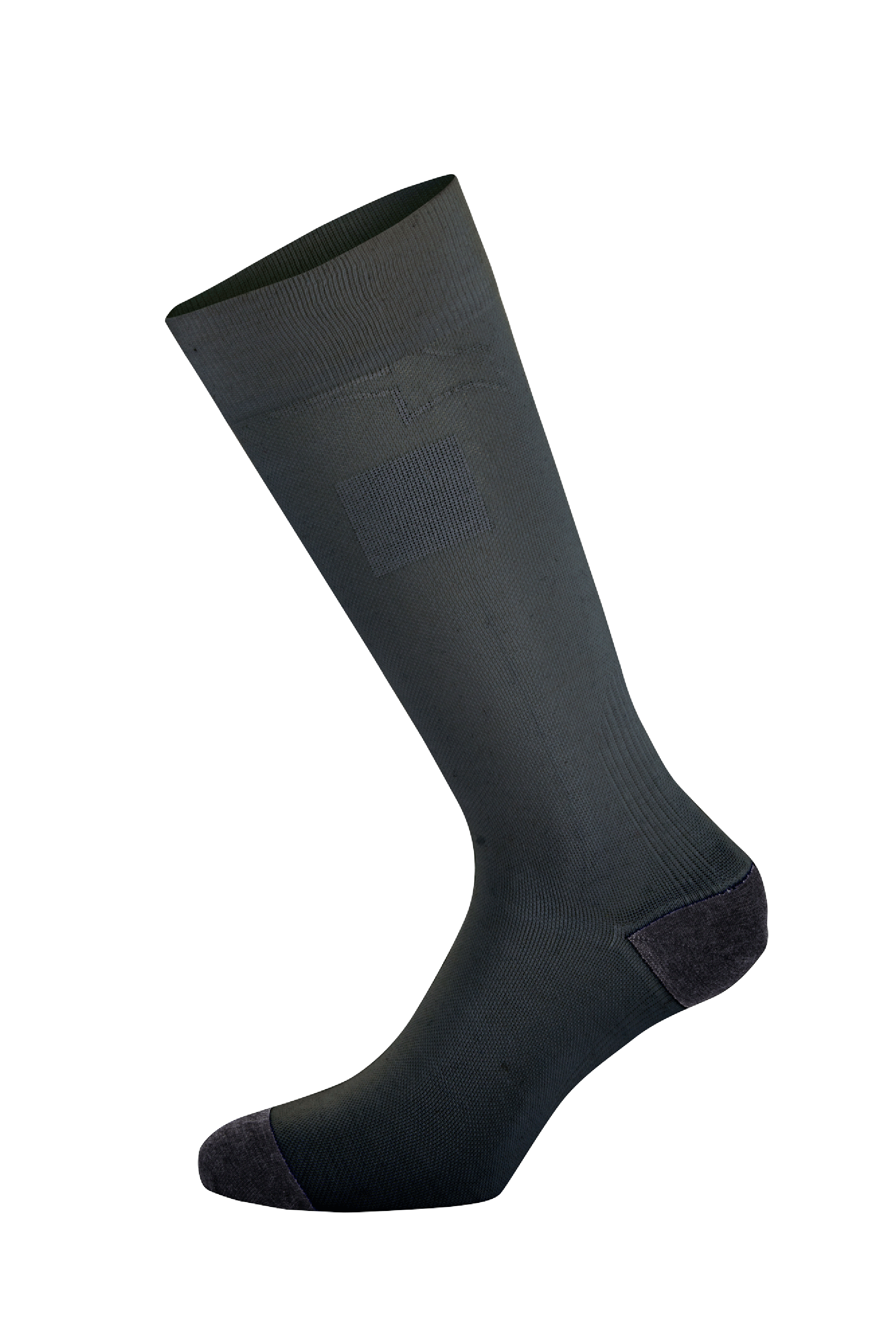 ZX V4 Socks Alpinestars | Alpinestars® Official Site