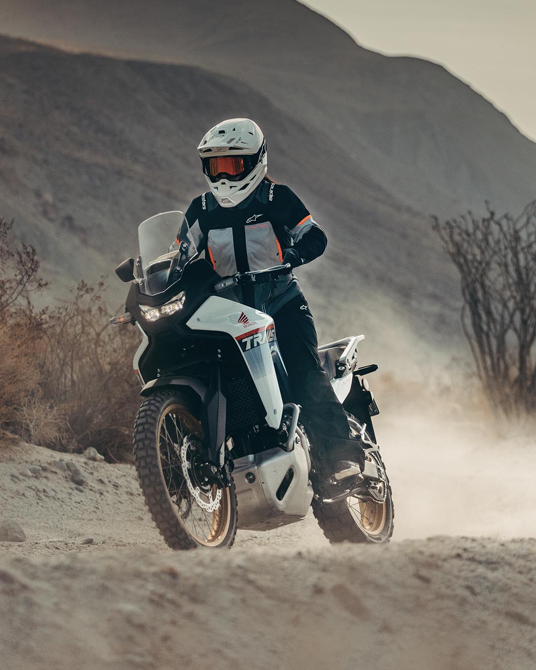 Image 68253817831802