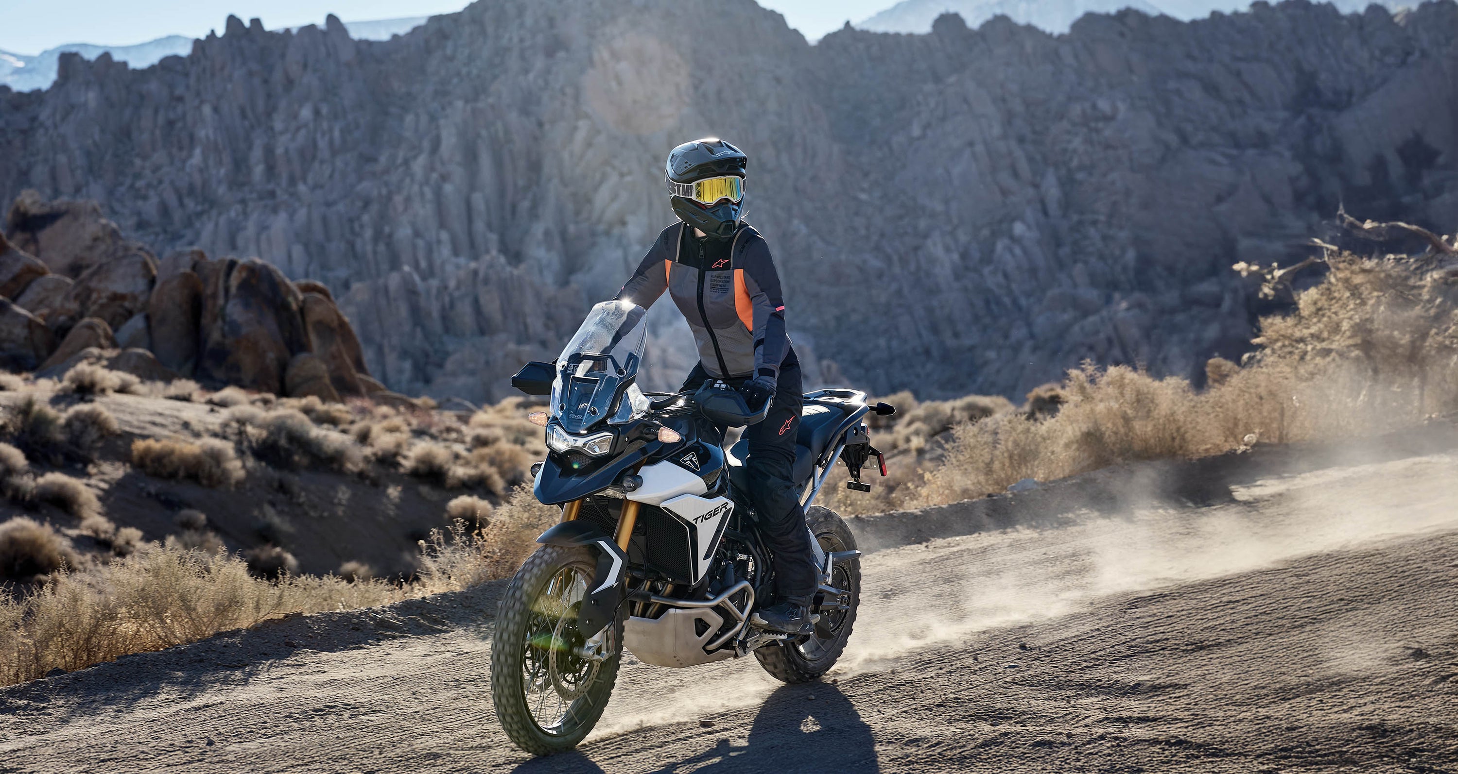 Image 68185042289018